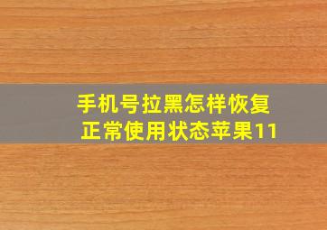 手机号拉黑怎样恢复正常使用状态苹果11