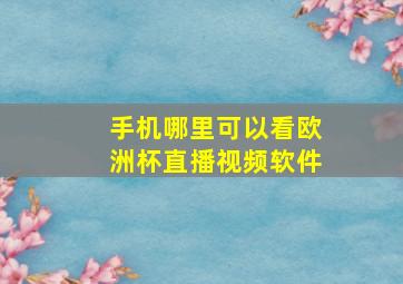 手机哪里可以看欧洲杯直播视频软件