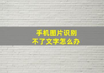 手机图片识别不了文字怎么办