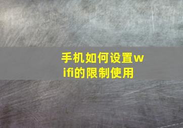 手机如何设置wifi的限制使用