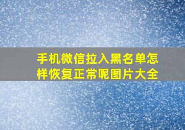 手机微信拉入黑名单怎样恢复正常呢图片大全