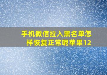 手机微信拉入黑名单怎样恢复正常呢苹果12