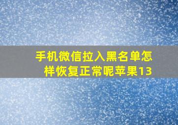 手机微信拉入黑名单怎样恢复正常呢苹果13