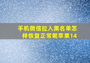 手机微信拉入黑名单怎样恢复正常呢苹果14