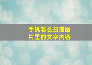 手机怎么扫描图片里的文字内容