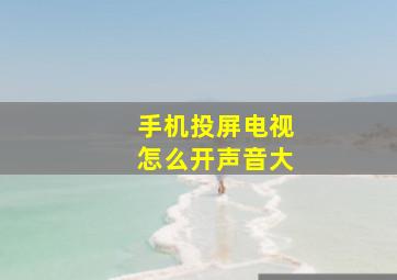 手机投屏电视怎么开声音大