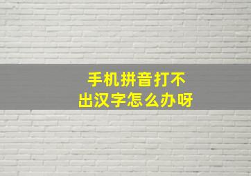 手机拼音打不出汉字怎么办呀