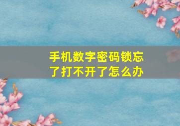 手机数字密码锁忘了打不开了怎么办