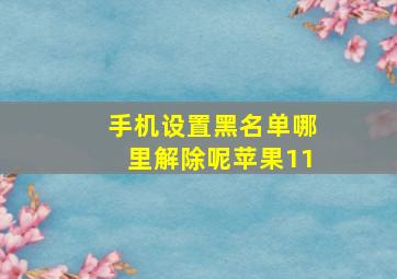 手机设置黑名单哪里解除呢苹果11