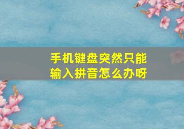 手机键盘突然只能输入拼音怎么办呀