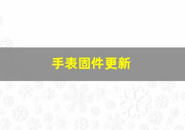 手表固件更新