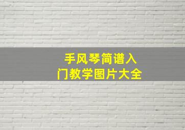 手风琴简谱入门教学图片大全