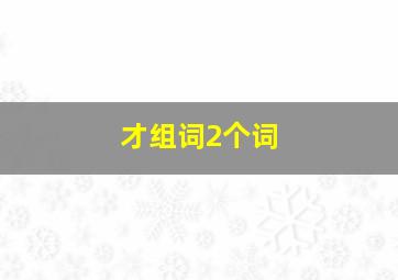 才组词2个词