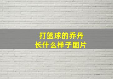 打篮球的乔丹长什么样子图片