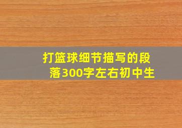 打篮球细节描写的段落300字左右初中生