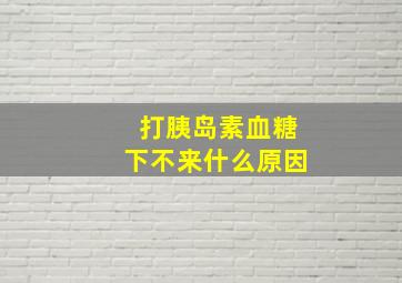 打胰岛素血糖下不来什么原因