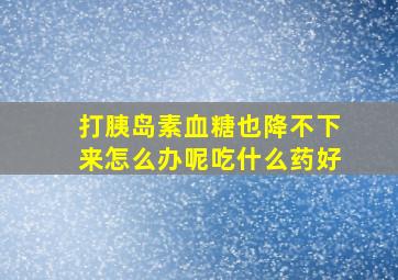 打胰岛素血糖也降不下来怎么办呢吃什么药好