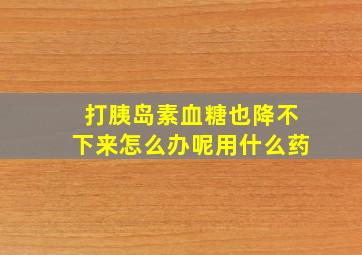 打胰岛素血糖也降不下来怎么办呢用什么药