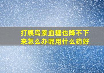 打胰岛素血糖也降不下来怎么办呢用什么药好