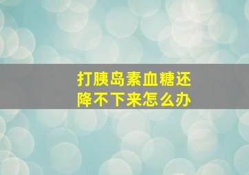 打胰岛素血糖还降不下来怎么办