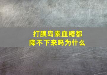 打胰岛素血糖都降不下来吗为什么