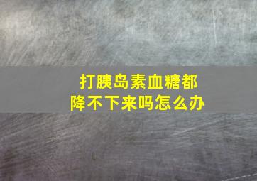 打胰岛素血糖都降不下来吗怎么办