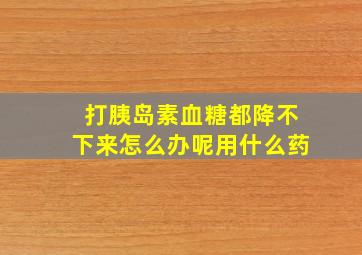 打胰岛素血糖都降不下来怎么办呢用什么药