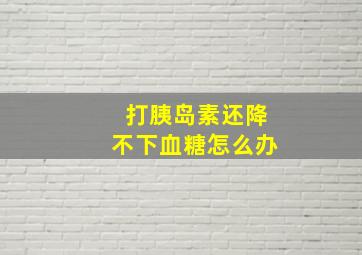 打胰岛素还降不下血糖怎么办