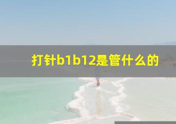 打针b1b12是管什么的