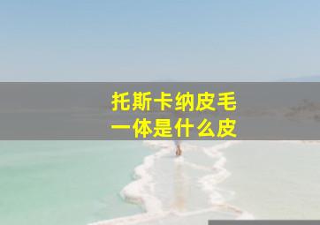 托斯卡纳皮毛一体是什么皮