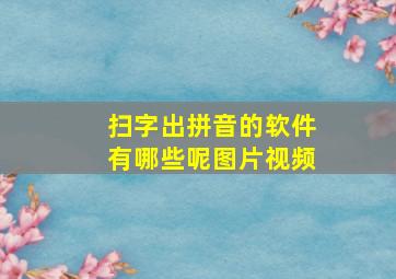 扫字出拼音的软件有哪些呢图片视频