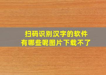 扫码识别汉字的软件有哪些呢图片下载不了