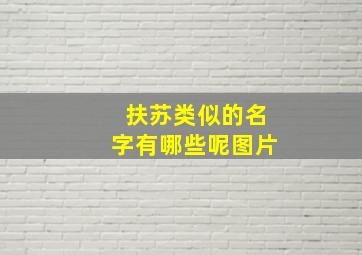 扶苏类似的名字有哪些呢图片