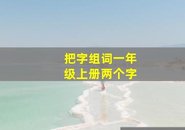 把字组词一年级上册两个字