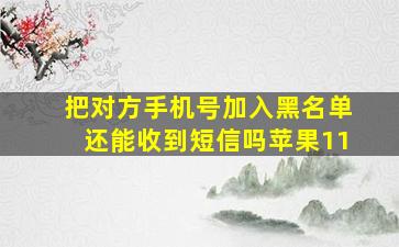 把对方手机号加入黑名单还能收到短信吗苹果11