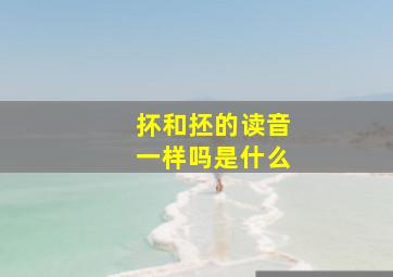 抔和抷的读音一样吗是什么