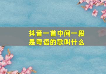 抖音一首中间一段是粤语的歌叫什么