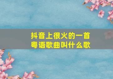 抖音上很火的一首粤语歌曲叫什么歌