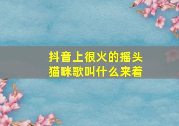 抖音上很火的摇头猫咪歌叫什么来着