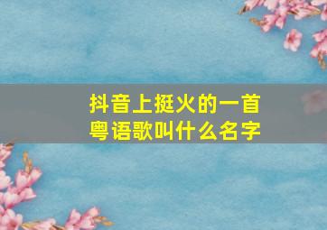 抖音上挺火的一首粤语歌叫什么名字