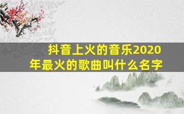 抖音上火的音乐2020年最火的歌曲叫什么名字