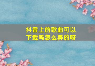 抖音上的歌曲可以下载吗怎么弄的呀