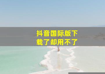 抖音国际版下载了却用不了