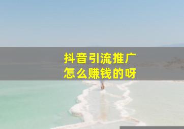 抖音引流推广怎么赚钱的呀