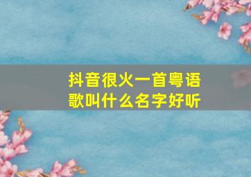 抖音很火一首粤语歌叫什么名字好听