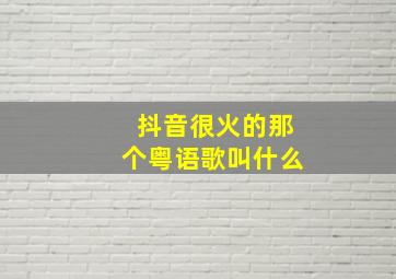 抖音很火的那个粤语歌叫什么