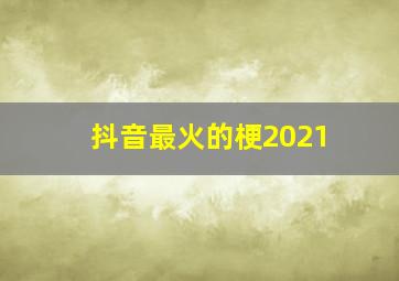 抖音最火的梗2021