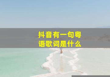 抖音有一句粤语歌词是什么