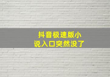 抖音极速版小说入口突然没了