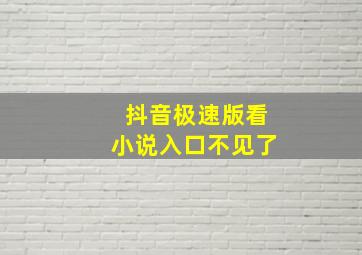 抖音极速版看小说入口不见了